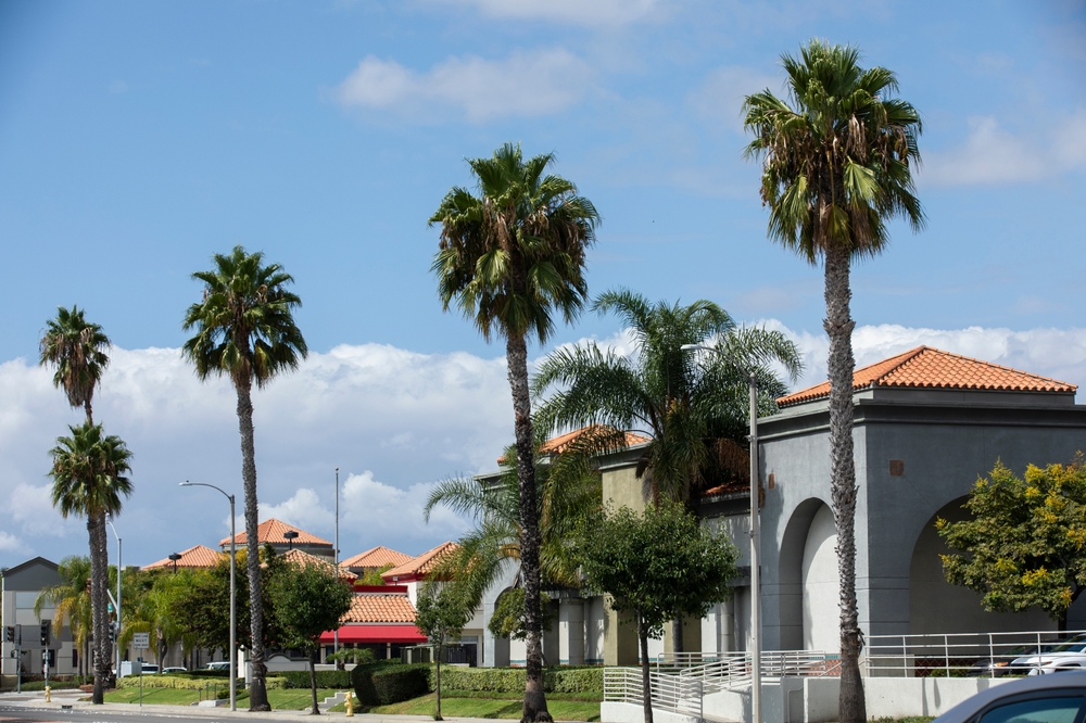 Image of buildings and palm trees in westminster california